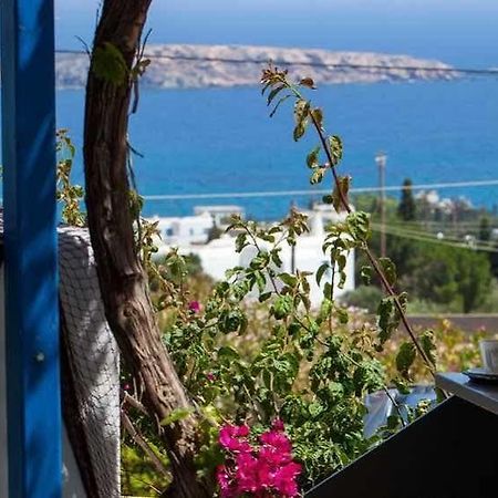 Aloe Paros Suites And Studios Driósz Kültér fotó