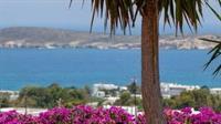 Aloe Paros Suites And Studios Driósz Kültér fotó