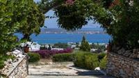 Aloe Paros Suites And Studios Driósz Kültér fotó